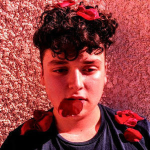 Meet your Posher, Stefanovich